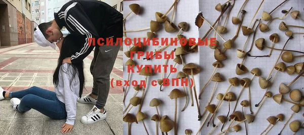 экстази Касимов