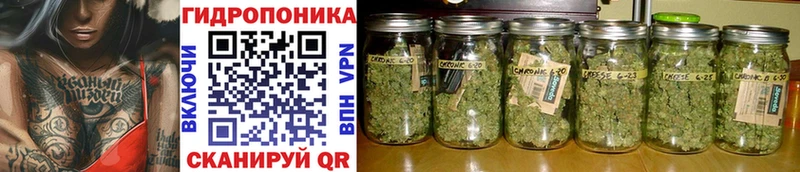 Купить Горячий Ключ Марихуана индика